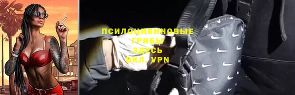 спиды Арсеньев