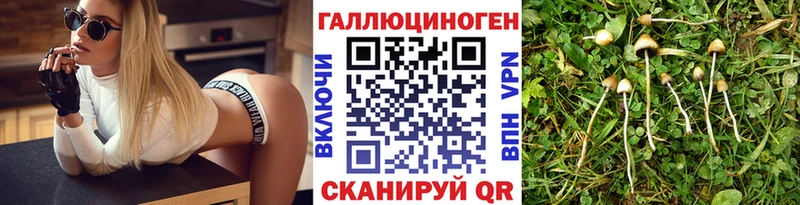 Галлюциногенные грибы ЛСД  Можга 